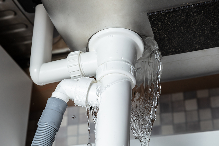 The Top Plumbing Services for Preventing Water Damage