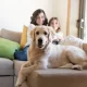 The Best Cleaning Services for Pet Owners