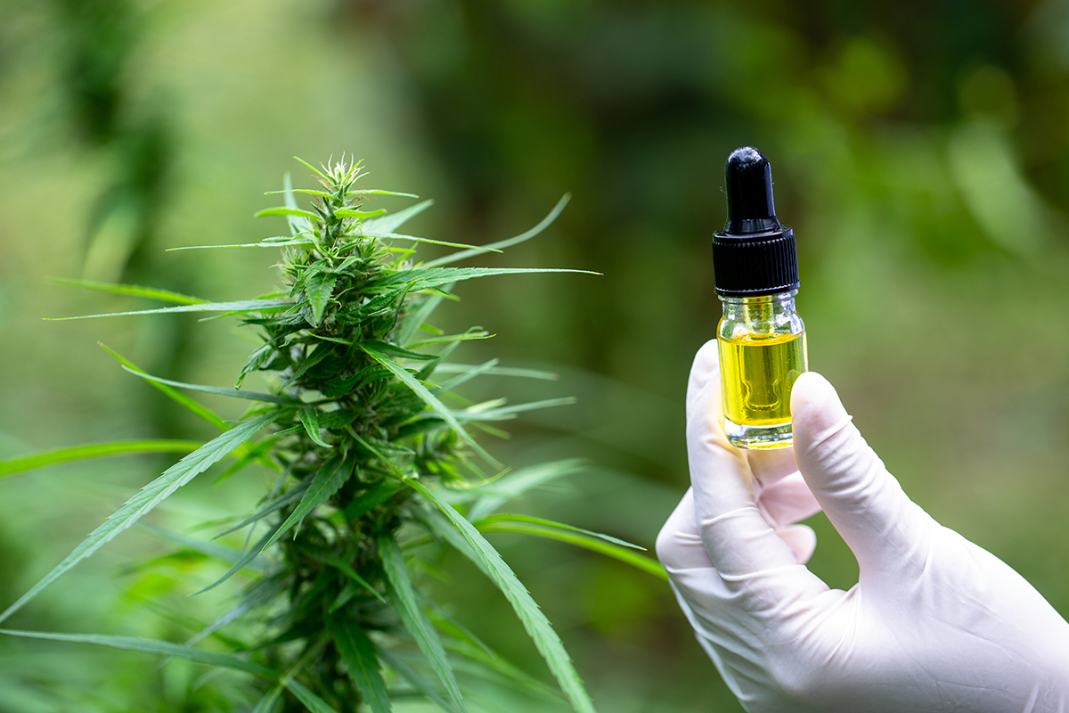 The Benefits of Cannabidiol (CBD) for Epilepsy and Seizures