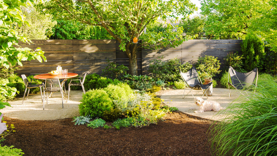 How to Create a Safe Outdoor Space for Your Pet
